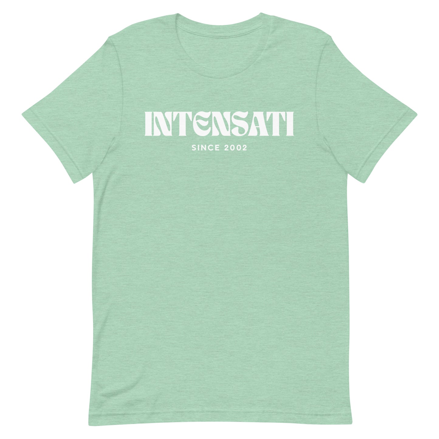 intenSati — Since 2002 Unisex T-shirt